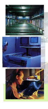 Syntek at Work